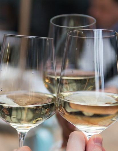 5 мифов о вине, или почему не всегда красное — к мясу, а белое — к рыбе