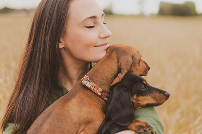 Маленькие, да удаленькие: 7 миниатюрных пород собак-компаньонов