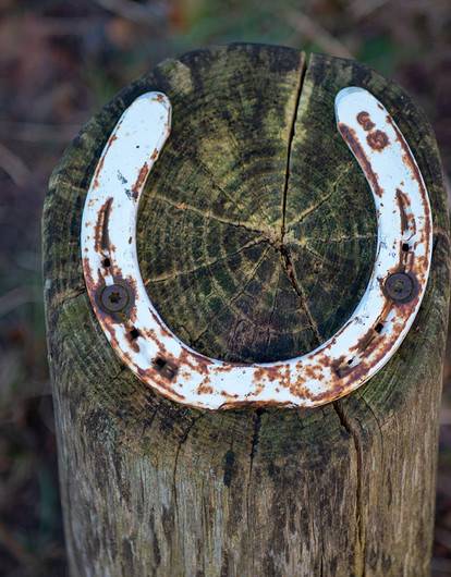 «С ним нам точно повезет»: лучшие талисманы для мужчин по знаку зодиака