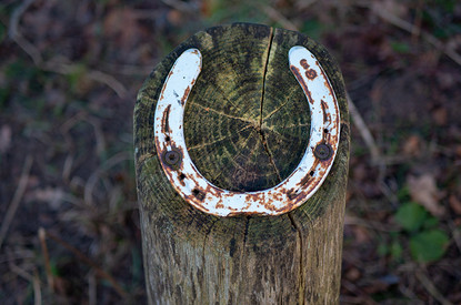 «С ним нам точно повезет»: лучшие талисманы для мужчин по знаку зодиака