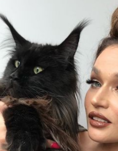 Алена Водонаева купила своему коту квартиру за 19 миллионов