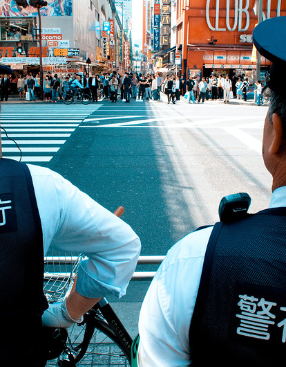 5 странных поводов для ареста в Японии: угрозы комару, уроки плавания коту и не только