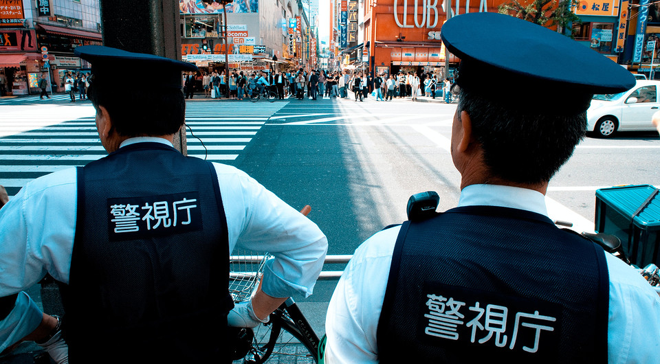 5 странных поводов для ареста в Японии: угрозы комару, уроки плавания коту и не только