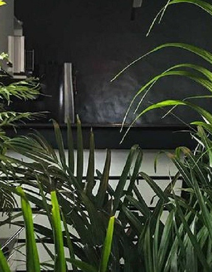 «Не хочу тусоваться, хочу сажать цветочки»: 5 историй 30-летних, которые полюбили дом, консервирование и садоводство