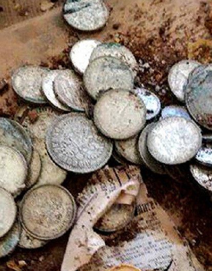 Алмаз, древнеегипетские скульптуры, гигантский пчелиный улей: 5 самых неожиданных находок во время  ремонта