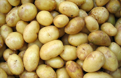 Как правильно хранить картофель: 5 способов сохранить урожай