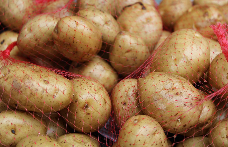 Как и при каких условиях хранить картошку: 5 разных способов