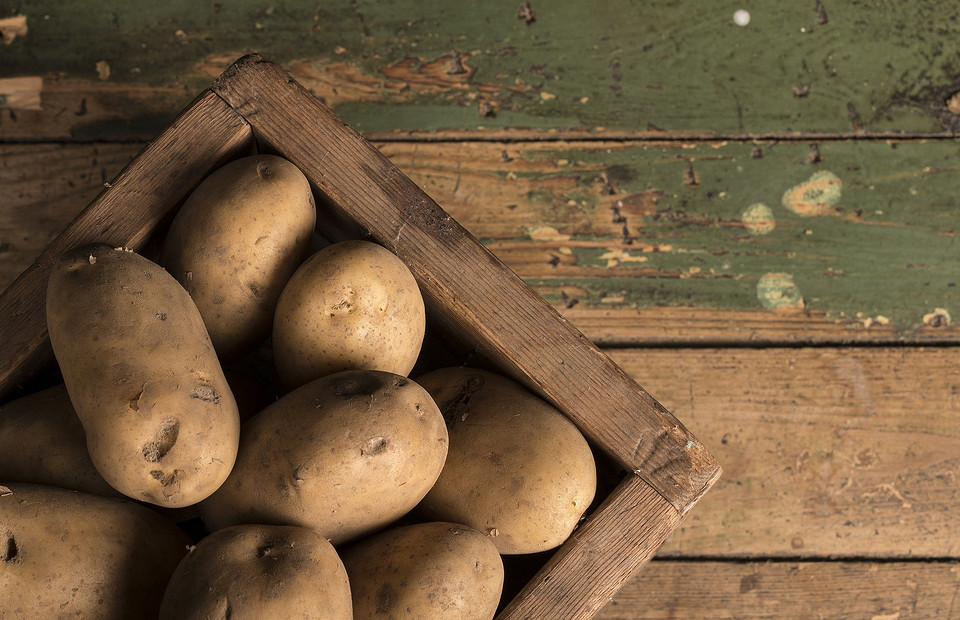 Как и при каких условиях хранить картошку: 5 разных способов