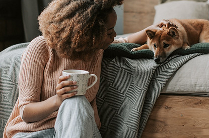 Вредничает или болеет: как понять, почему животное не слушается