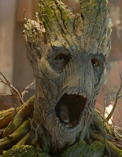 Ураган с корнем вырвал Тургеневский дуб в Орловской области (ему было почти 200 лет)