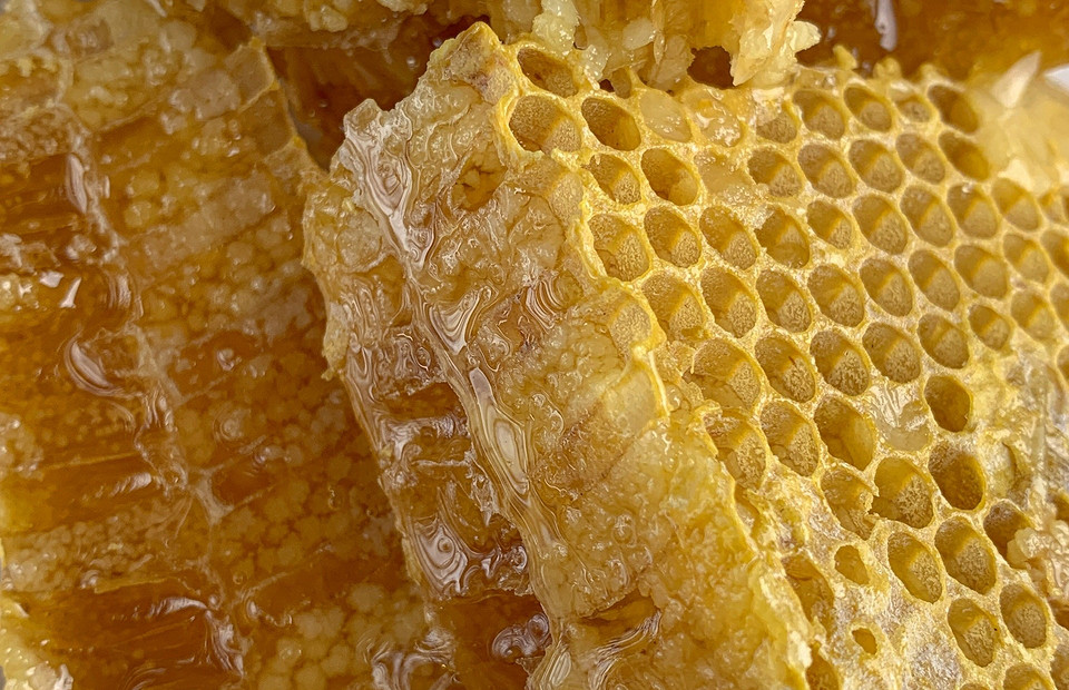 5 советов, как хранить мед в домашних условиях