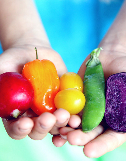 Правило одной ладони: какое количество овощей должно быть на тарелке (и какого цвета)