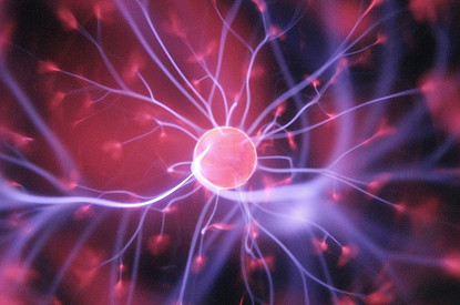 Ученые вырастили «мини-мозг» и научили его играть в виртуальный пинг-понг