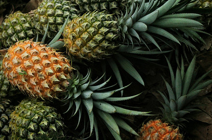4 совета, как выбрать спелый и сладкий ананас к Новому году (видео)