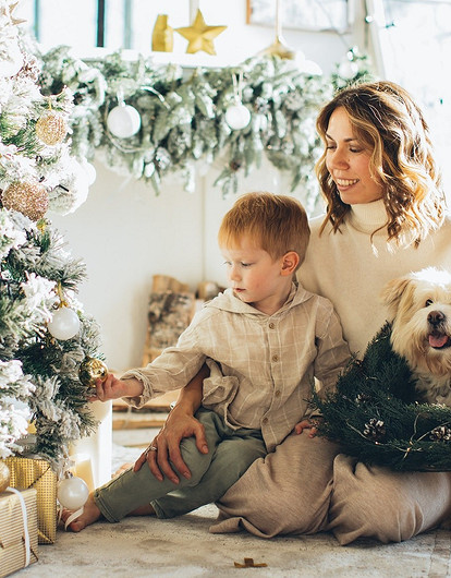 Осторожно, салют: как сделать праздник безопасным для домашних животных