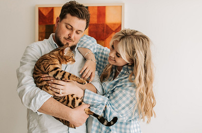 Топ-12 гипоаллергенных кошек: какую породу завести, если у тебя аллергия