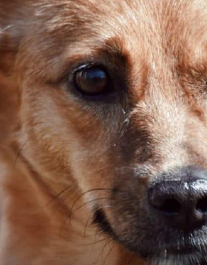 Мир в восхищении: события и люди, которые нас порадовали в 2021 году (видео)