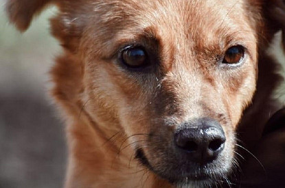 Мир в восхищении: события и люди, которые нас порадовали в 2021 году (видео)