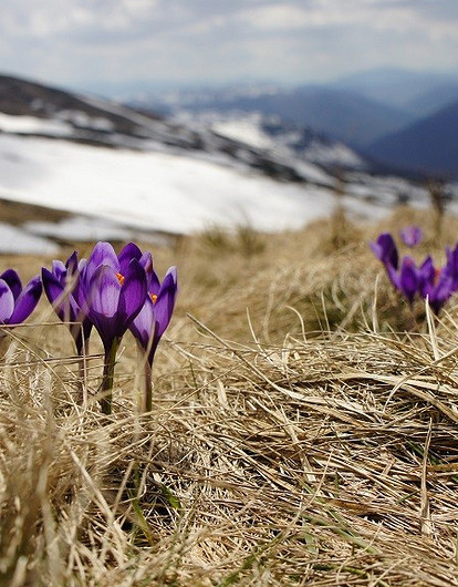 Овнам нужно быть внимательными в работе, а Девам — в семейных делах: гороскоп для всех знаков Зодиака с 1 по 7 марта