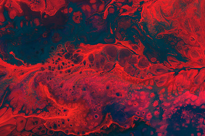 Пиявки, кровь и птичий помет: жуткие секреты красоты голливудских звезд