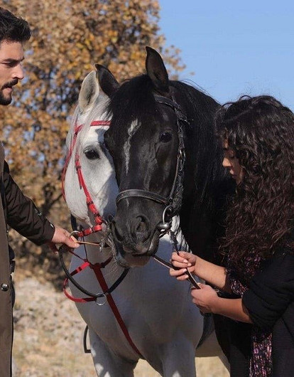 Лучшие турецкие сериалы про любовь: ТОП-20, от которых невозможно оторваться (видео)