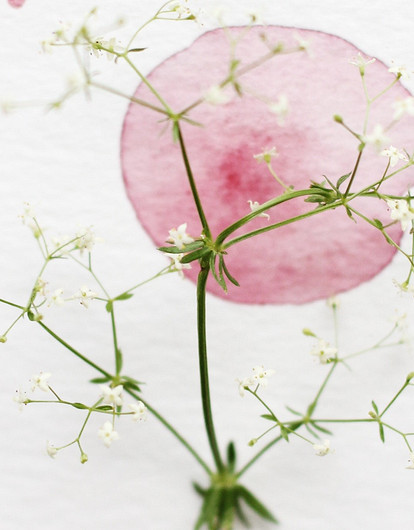 Как гормоны влияют на красоту и что делать с этой информацией