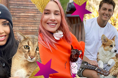 Звездные любимчики: как живется питомцам российских артистов