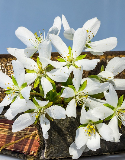 Как этой весной избежать конфликта отцов и детей: советы астролога