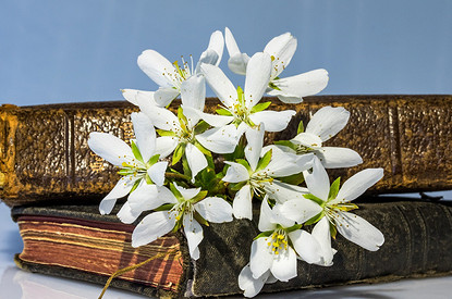 Как этой весной избежать конфликта отцов и детей: советы астролога