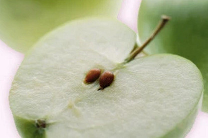 Железо при беременности