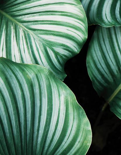 Вместе в чистое будущее: совместная экоакция Garnier и «Пятёрочки»