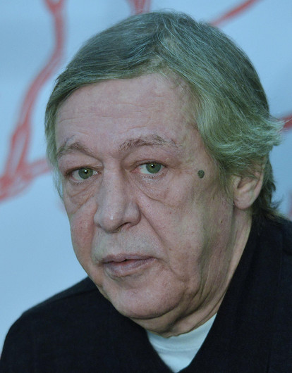Михаил Ефремов впервые увиделся с супругой в колонии