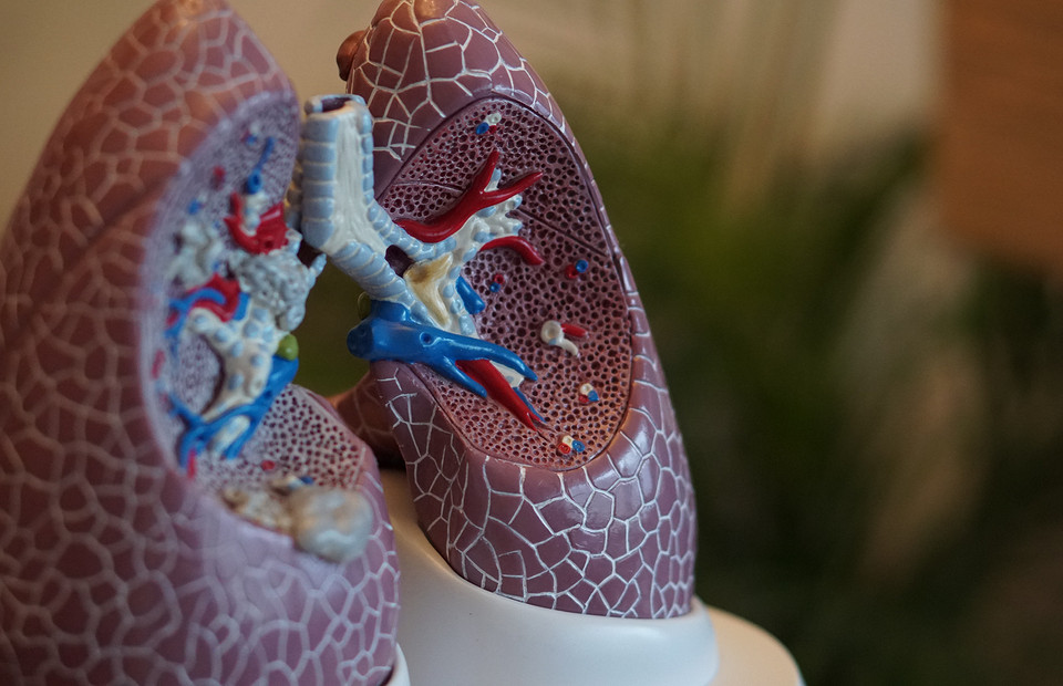 Не просто кашель: 8 мифов о туберкулезе, которые давно пора развеять