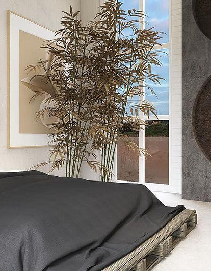 Востребованный гибрид: все об интерьерном стиле джапанди