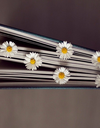 Тельцам нужно отказаться от сладкого, а Скорпионам — начать ремонт: гороскоп для всех знаков зодиака с 3 по 9 мая