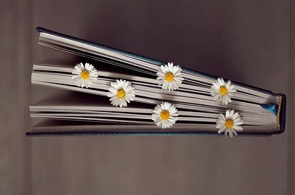 Тельцам нужно отказаться от сладкого, а Скорпионам — начать ремонт: гороскоп для всех знаков зодиака с 3 по 9 мая