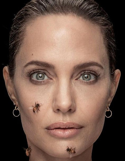 «Одна залезла под юбку»: Анджелина Джоли снялась с роем пчел на теле (видео)