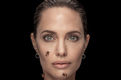 «Одна залезла под юбку»: Анджелина Джоли снялась с роем пчел на теле (видео)