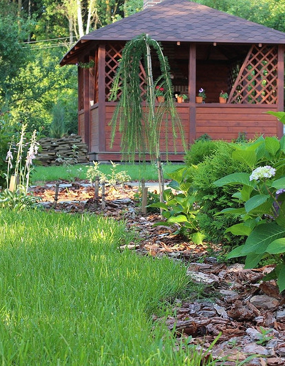 Как выбрать участок для строительства дома по фэншую