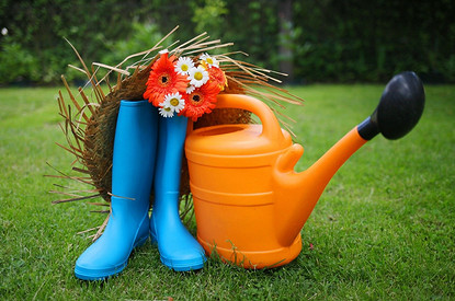 На грядках или в гамаке: какой дачный отдых тебе подходит по знаку зодиака