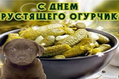 «С днем хрустящего огурчика!»: 10 смешных открыток в WhatsApp, которые могут прислать только родственники