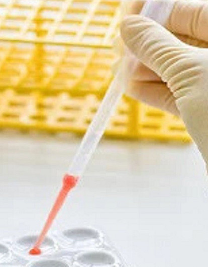 Какие бывают осложнения  при беременности?