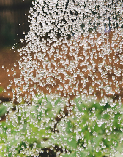 5 способов ухаживать за садом и огородом, когда ты не рядом (видео)