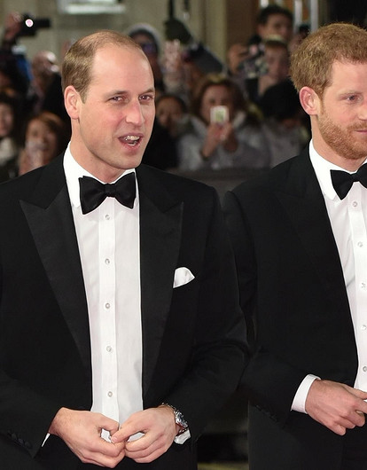 Эксперты раскрыли правду об отношениях между принцем Гарри и Уильямом после открытия статуи принцессы Дианы