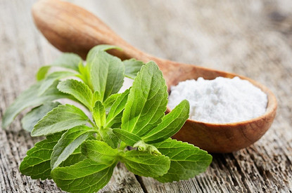 Вместо сахара: польза и вред стевии (и отличия от других заменителей)