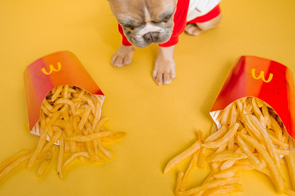 Психология похудения: что на самом деле скрывается за желанием (или нежеланием) сбросить «пару кило»