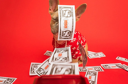 5 знаков зодиака, у которых есть шанс разбогатеть в июле