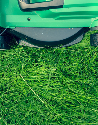 От первой стрижки до мульчирования: 9 правил красивого дачного газона