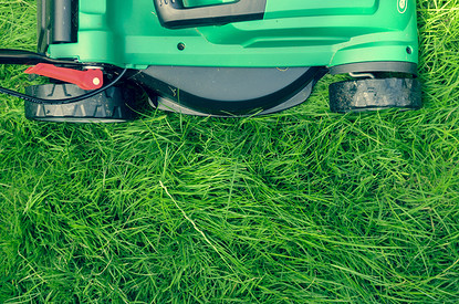 От первой стрижки до мульчирования: 9 правил красивого дачного газона