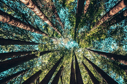 А почему бы и нет: 5 магических ритуалов, которые можно провести на природе